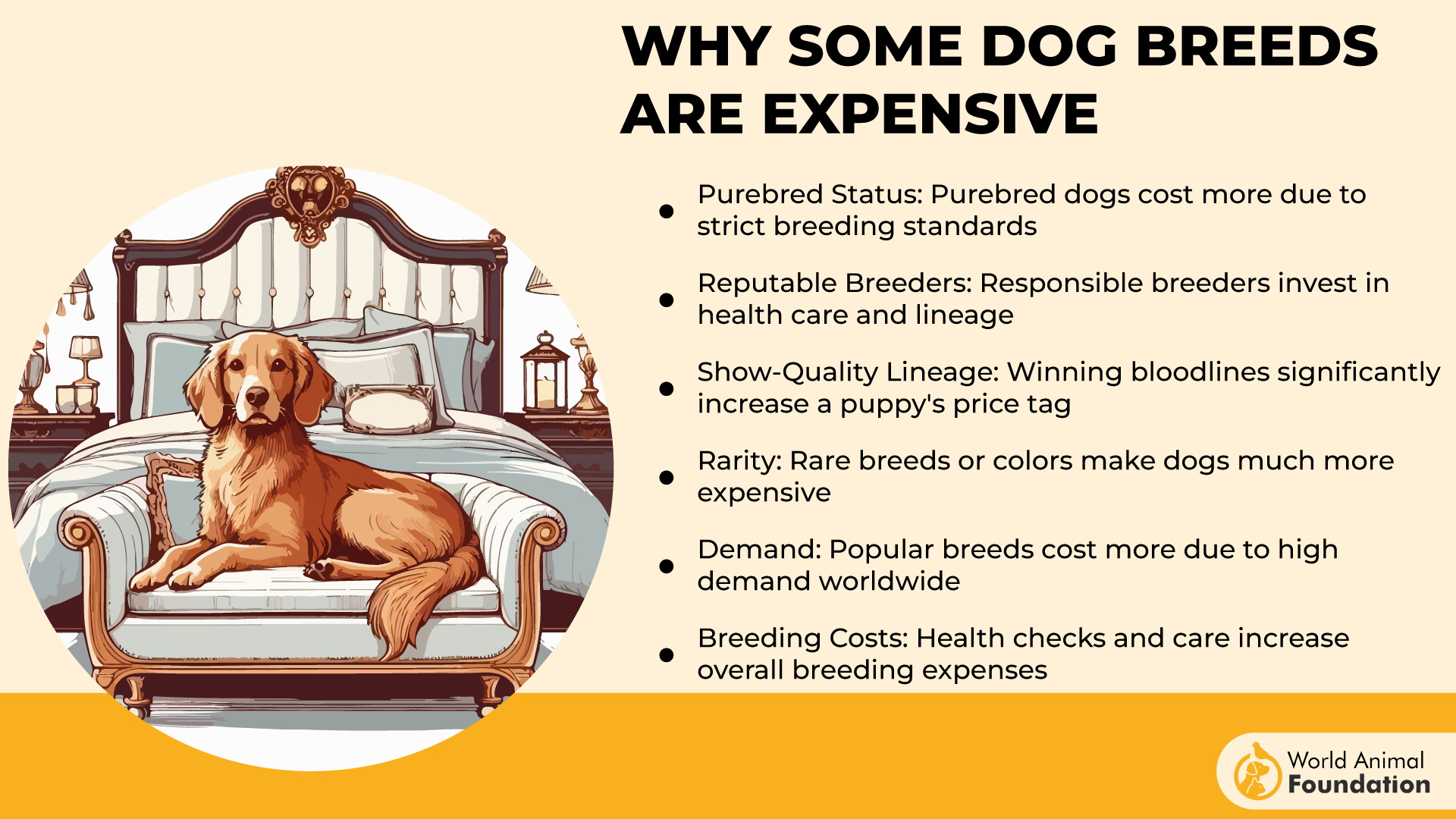 Why Some Dog Breeds Are Expensive-01