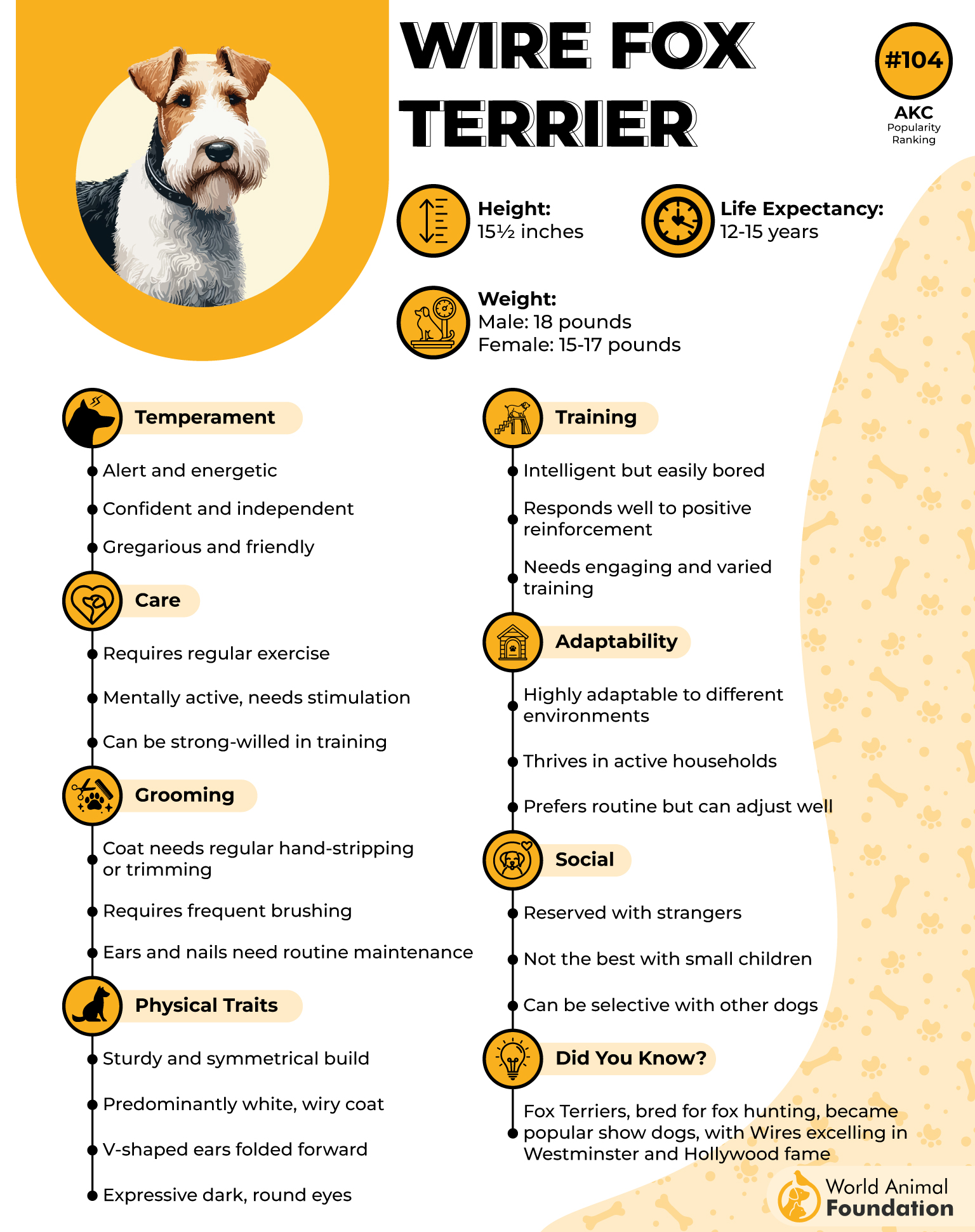 Wire Fox Terrier Profile