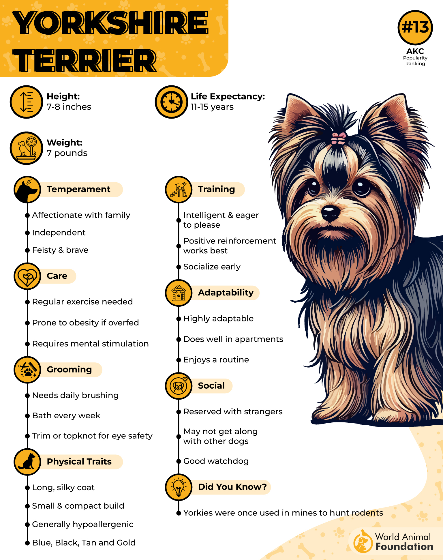 Yorkshire Terrier Profile