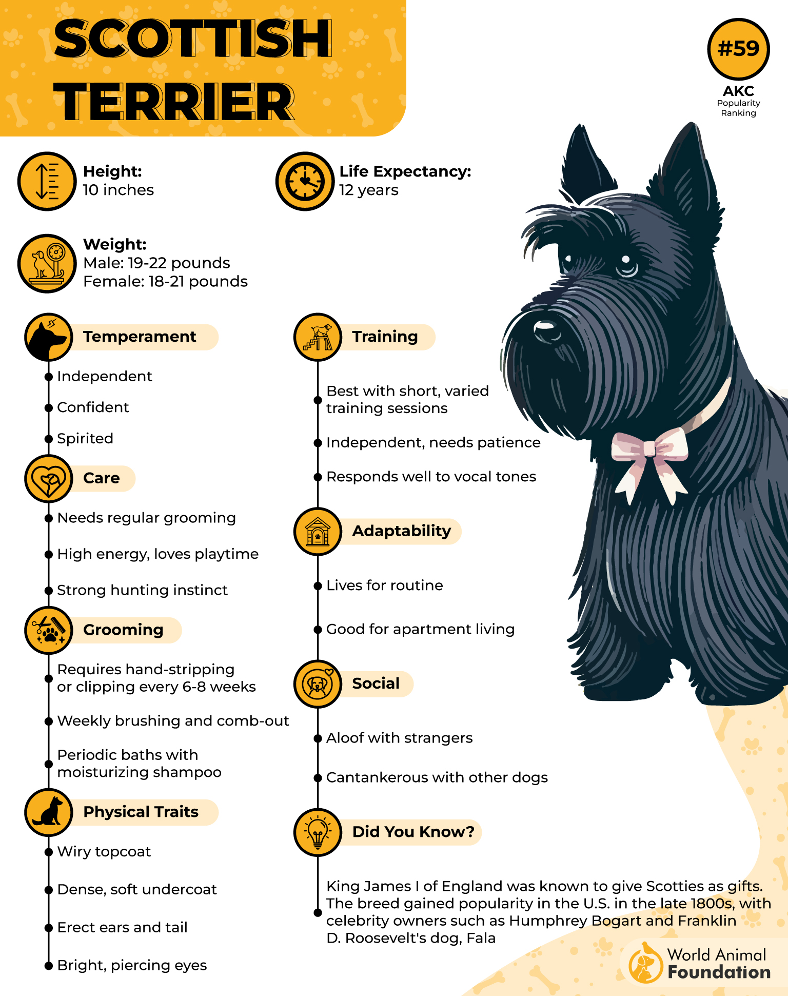 Scottish Terrier Profile