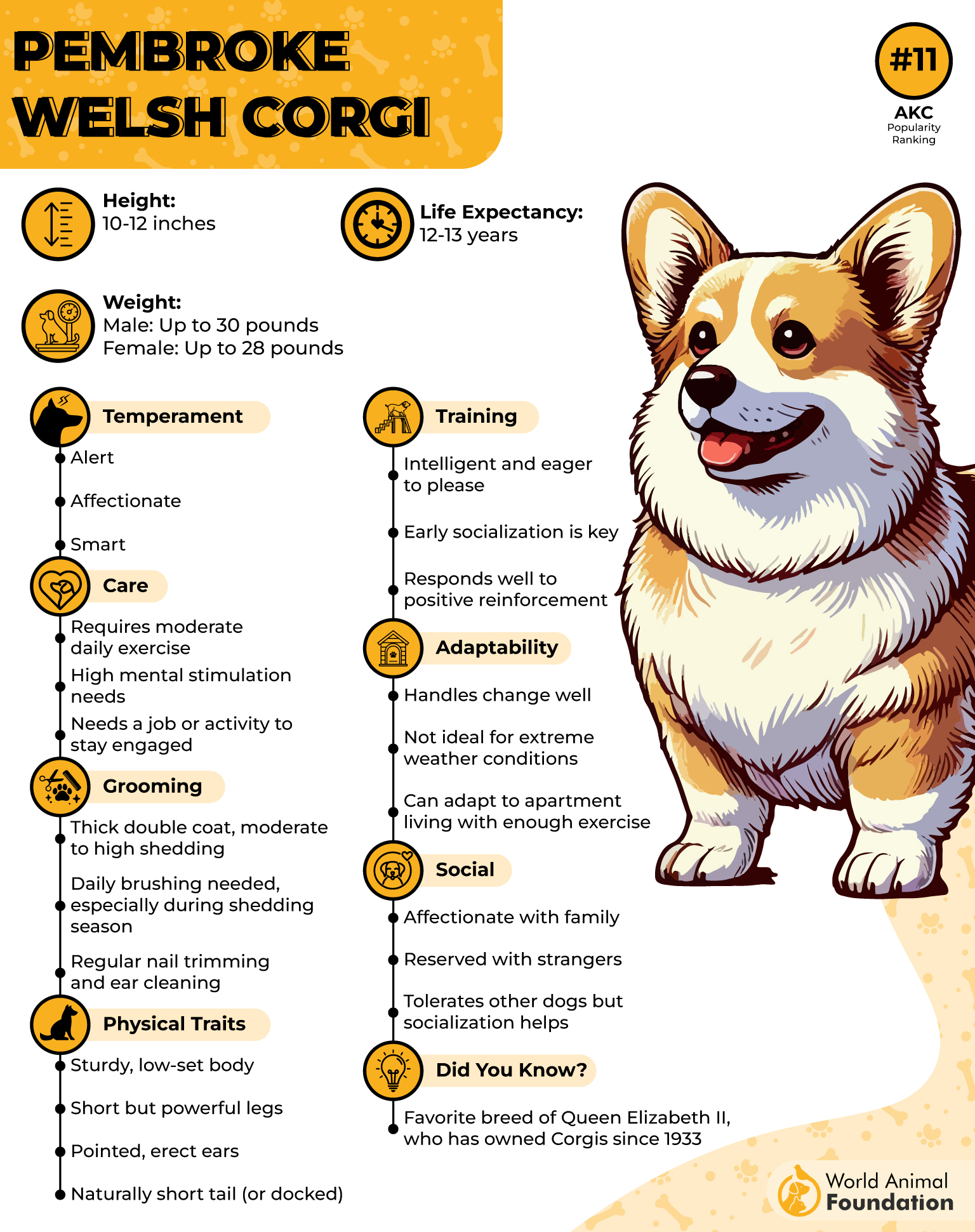 Pembroke Welsh Corgi Profile