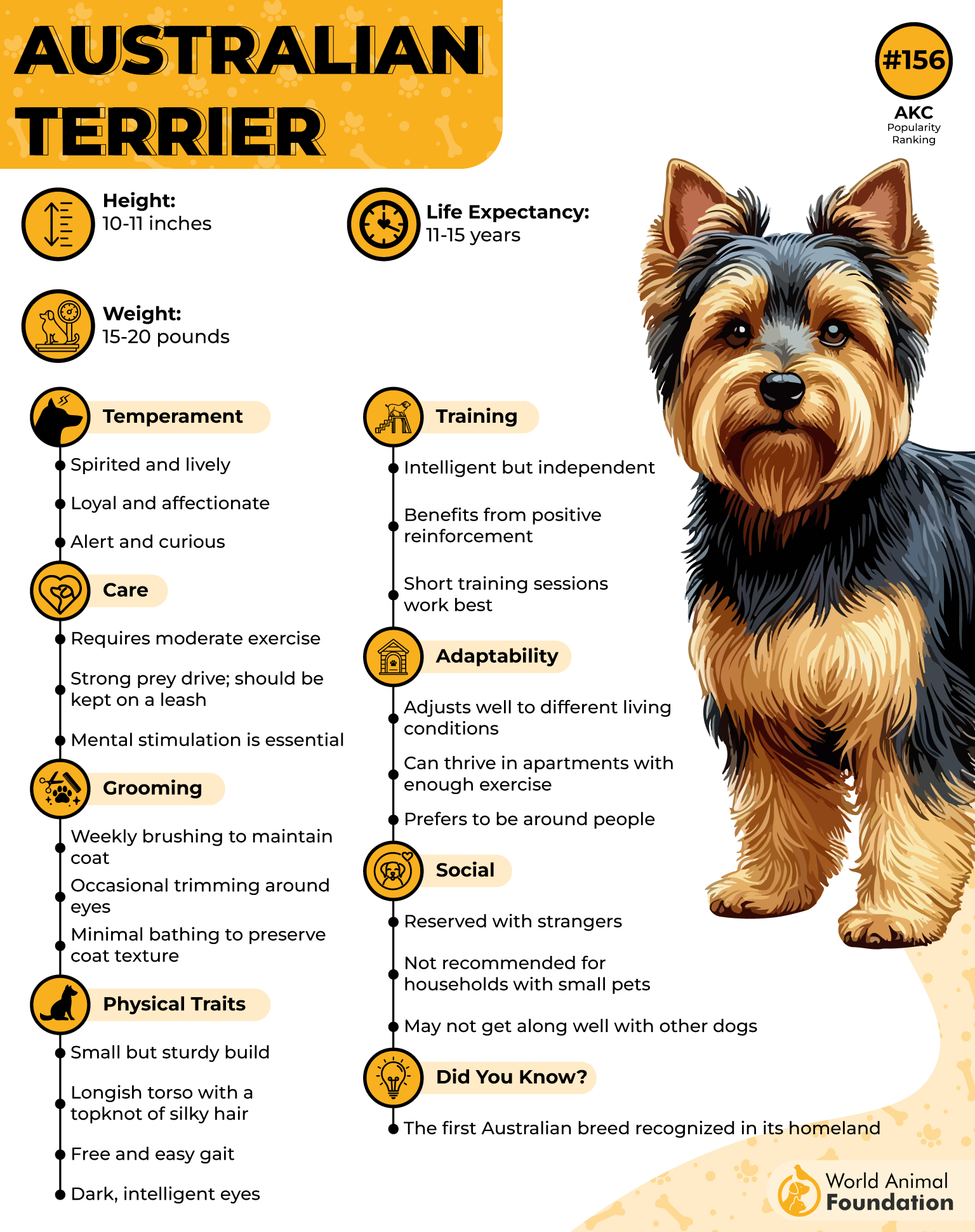 Australian Terrier Profile