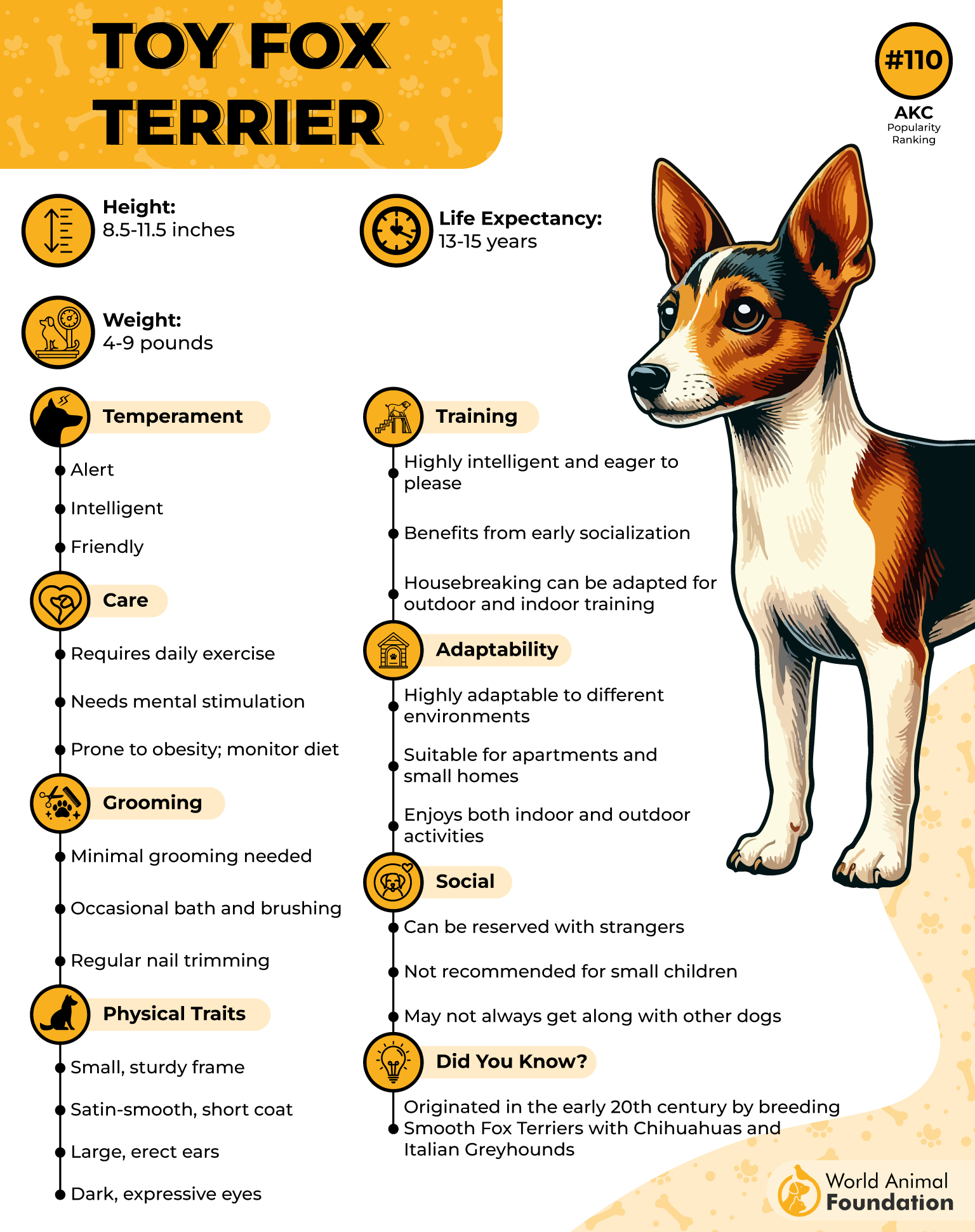 Toy Fox Terrier Profile