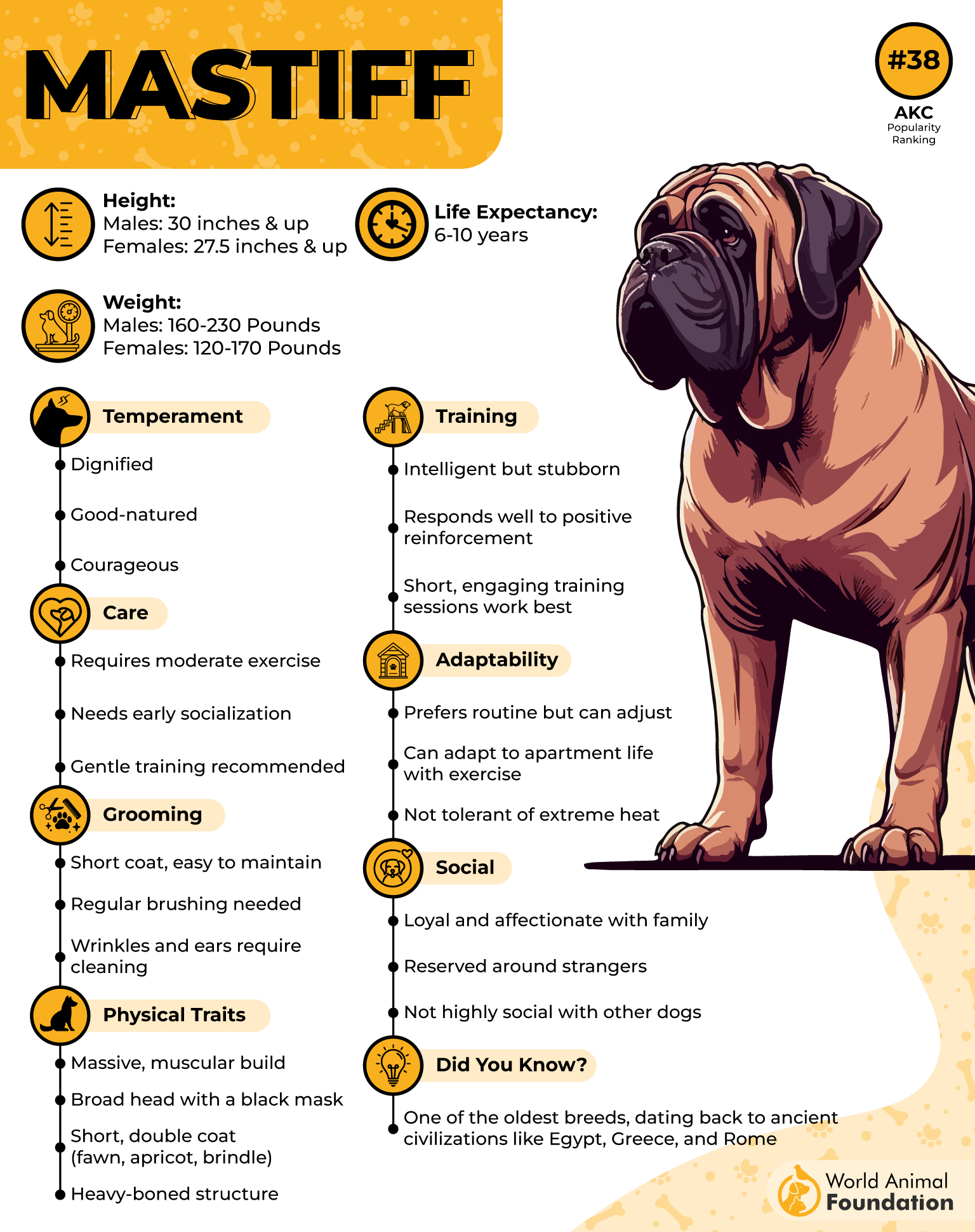 Mastiff Profile