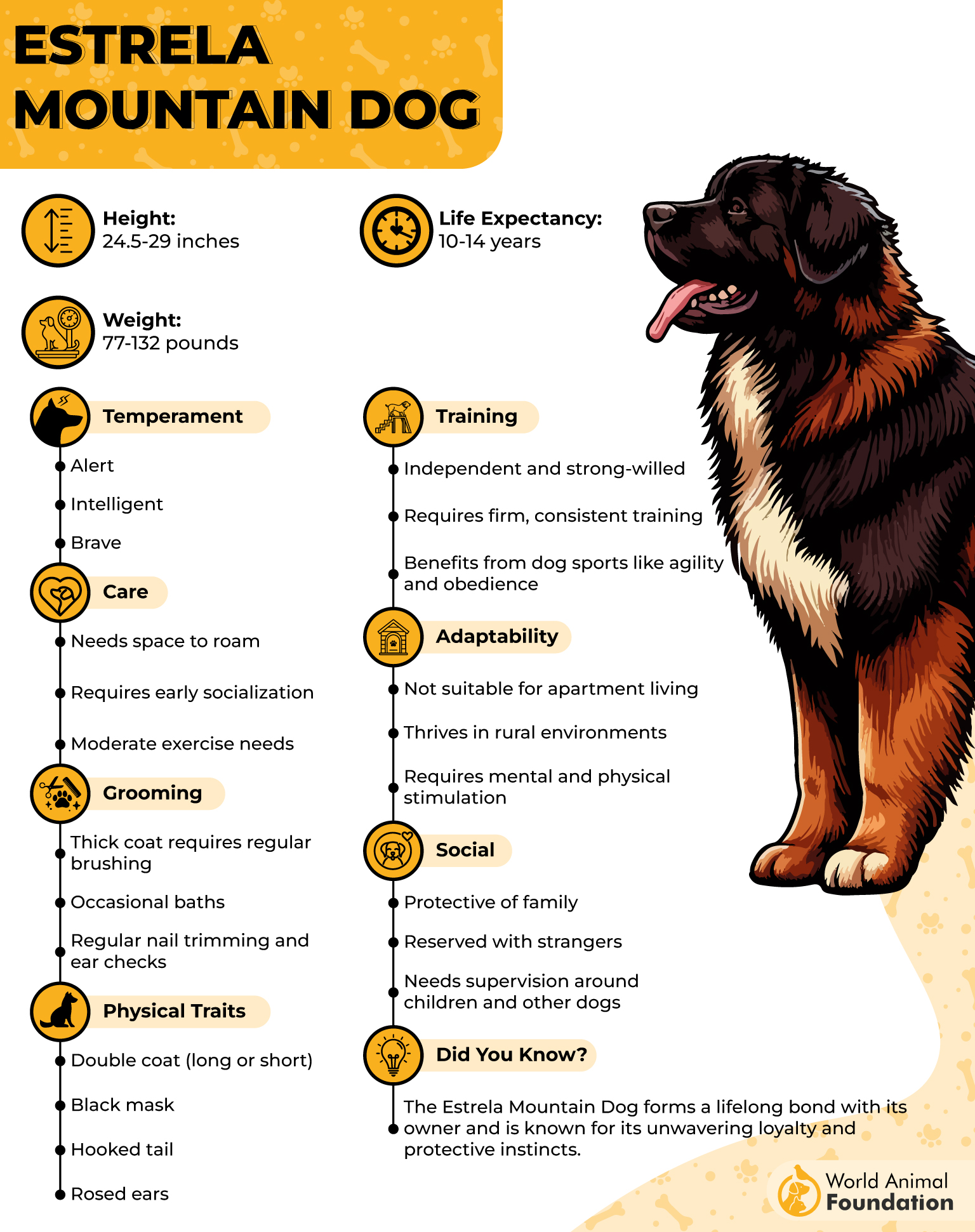 Estrela Mountain Dog Profile