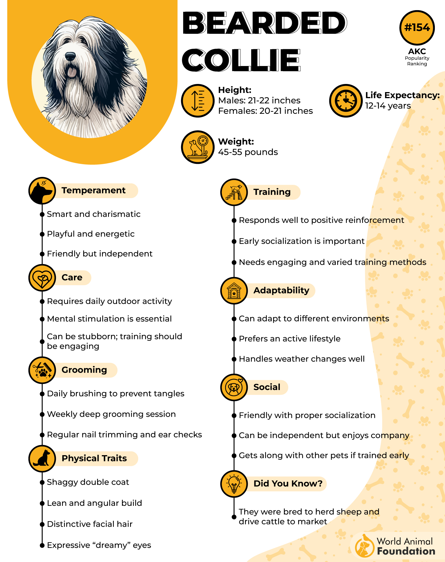 Bearded Collie Profile