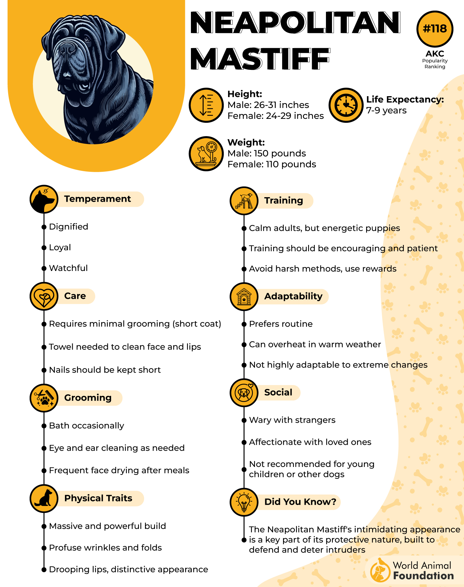 Neapolitan Mastiff Profile