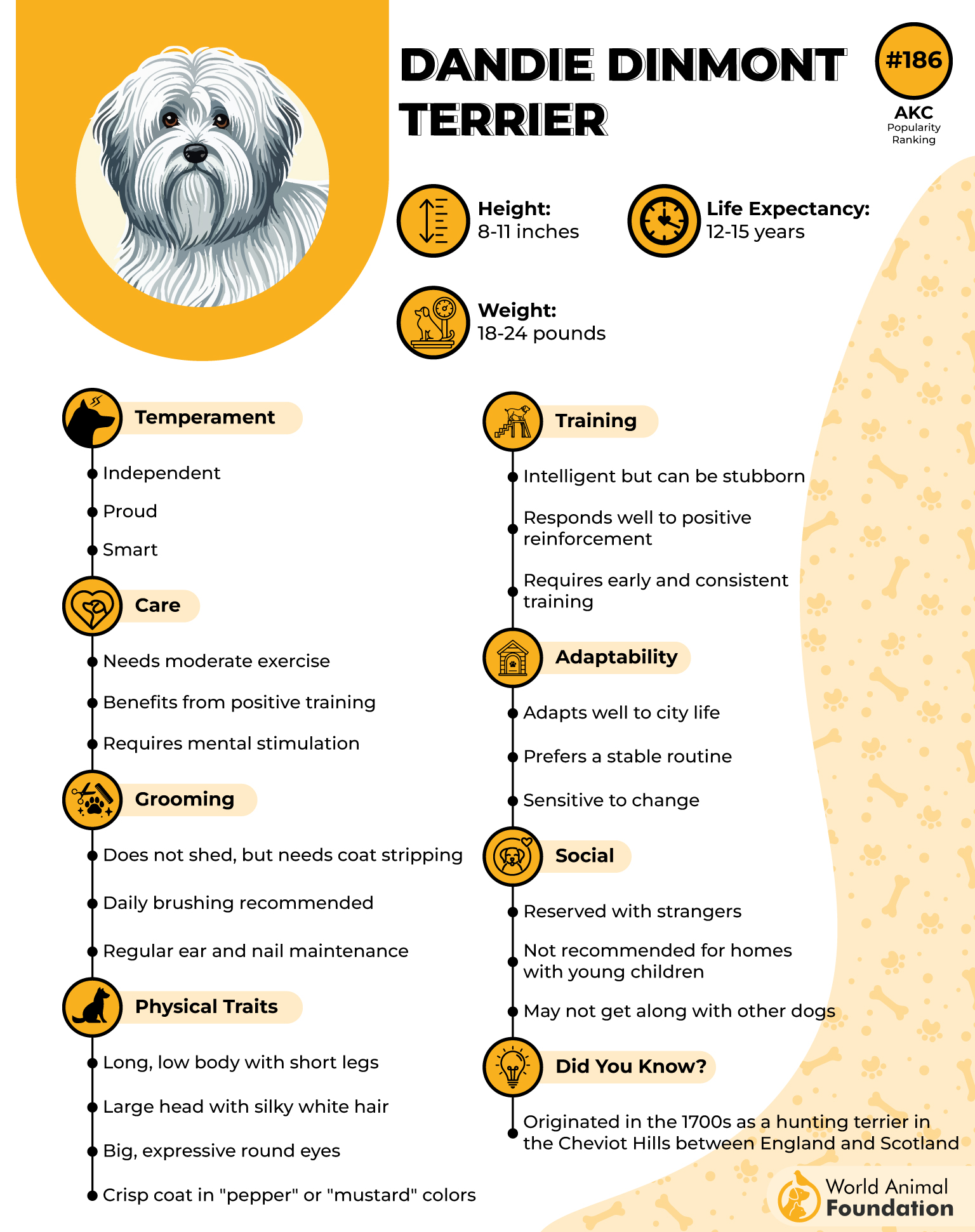 Dandie Dinmont Terrier Profile