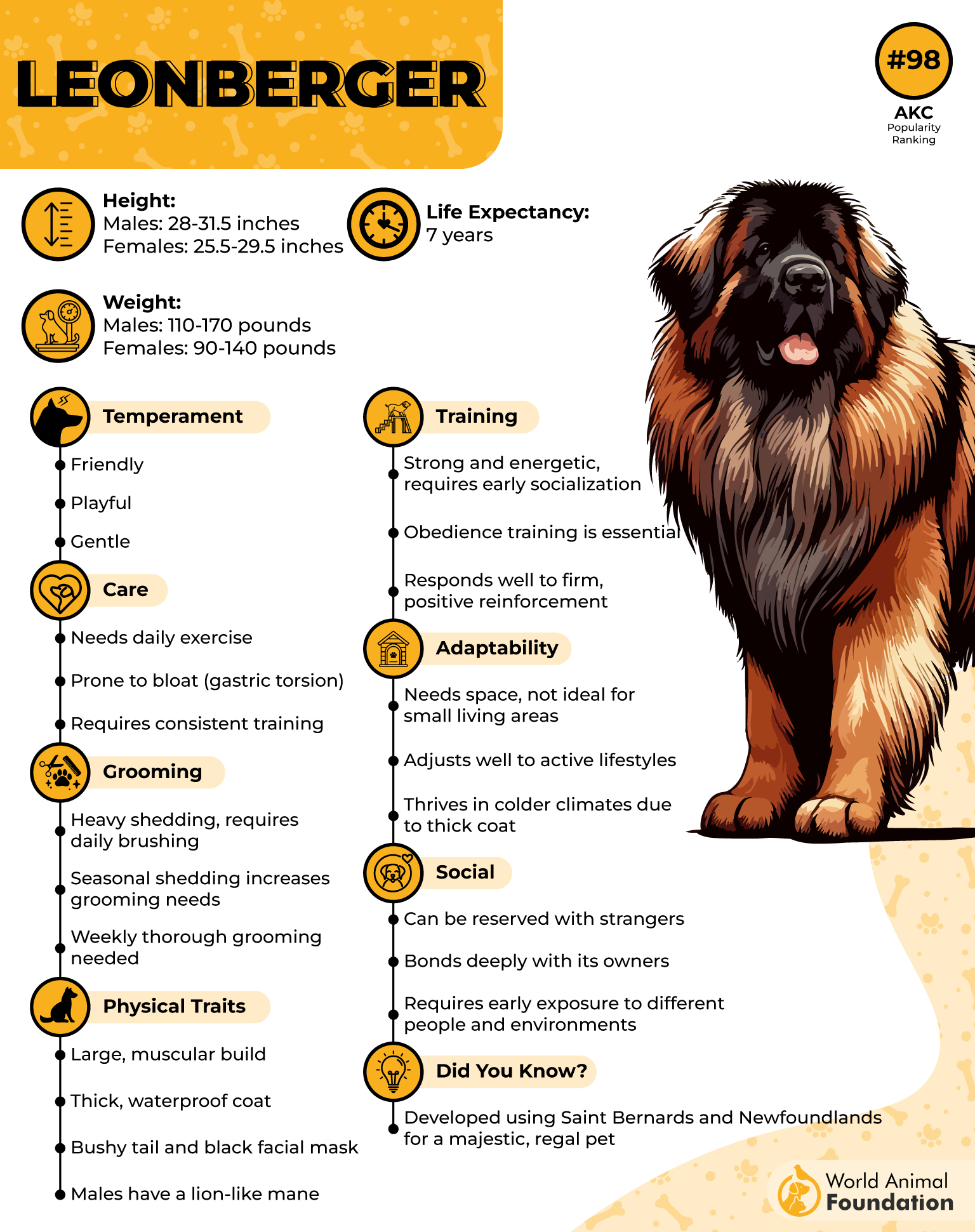 Leonberger Profile