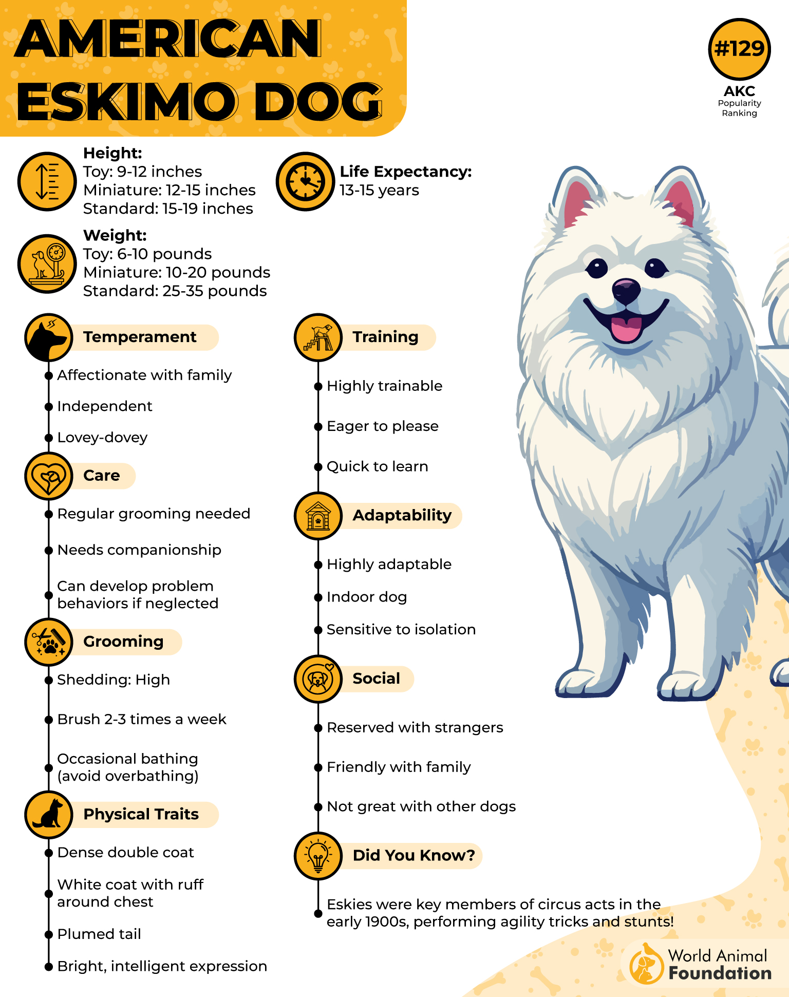 American Eskimo Dog Profile