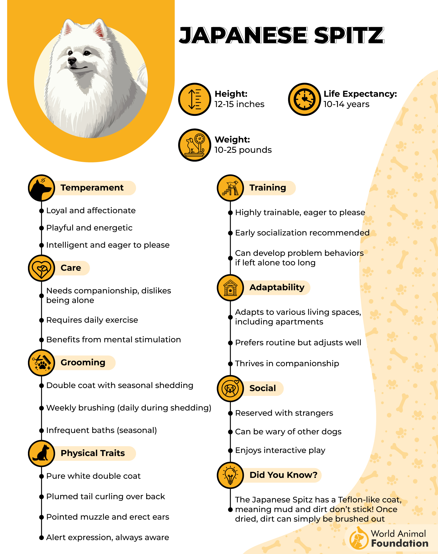 Japanese Spitz Profile