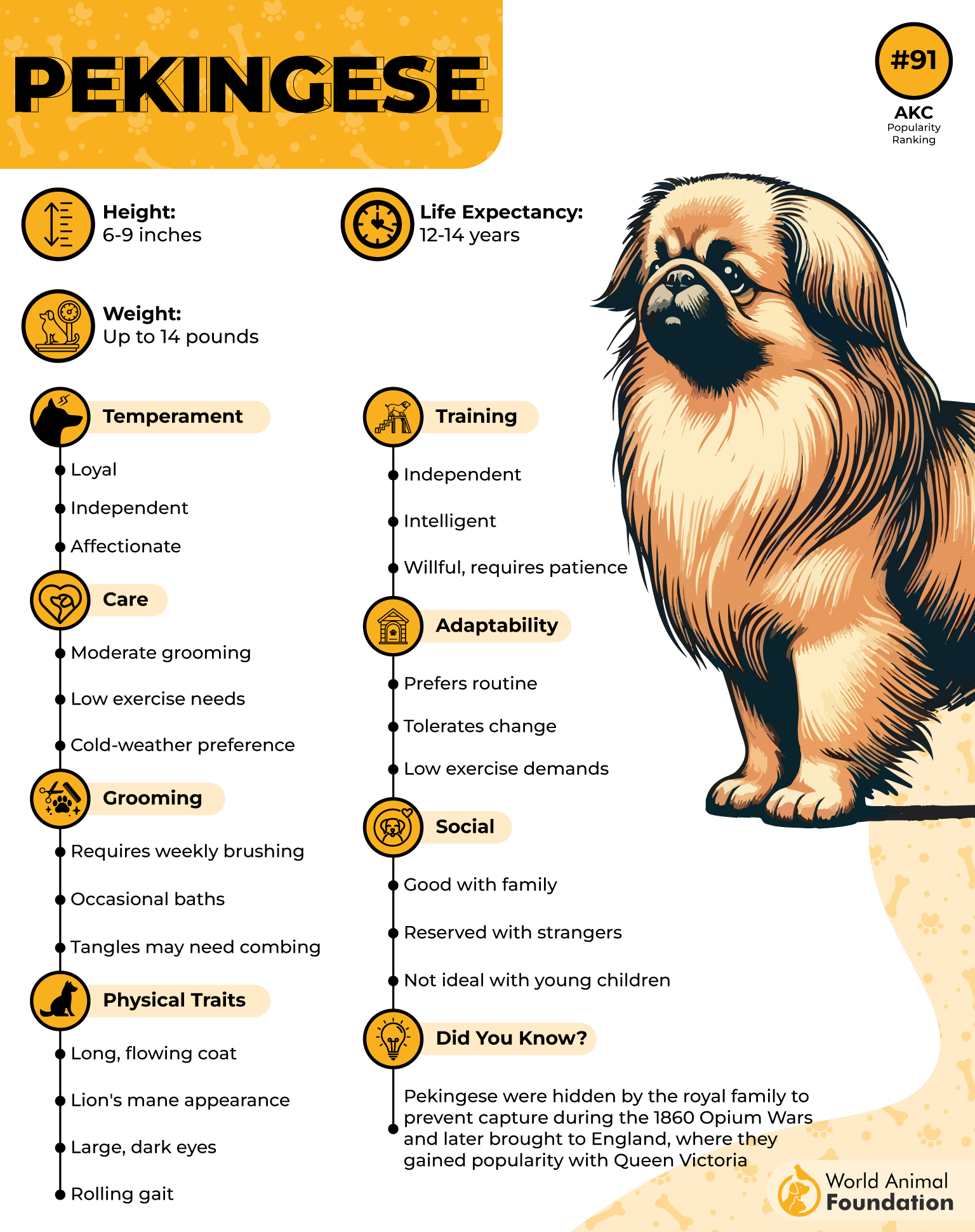 Pekingese Profile