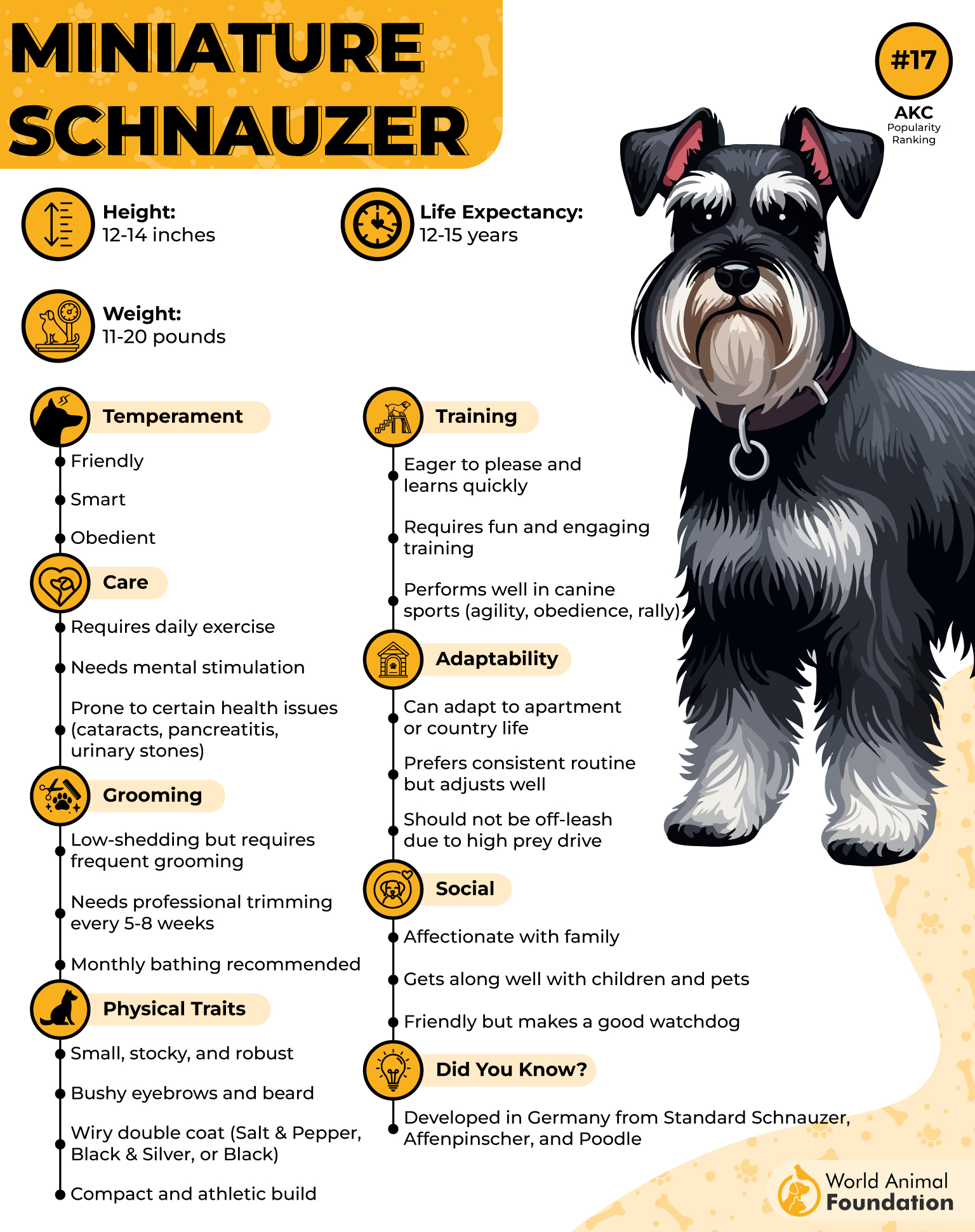 Miniature Schnauzer Profile