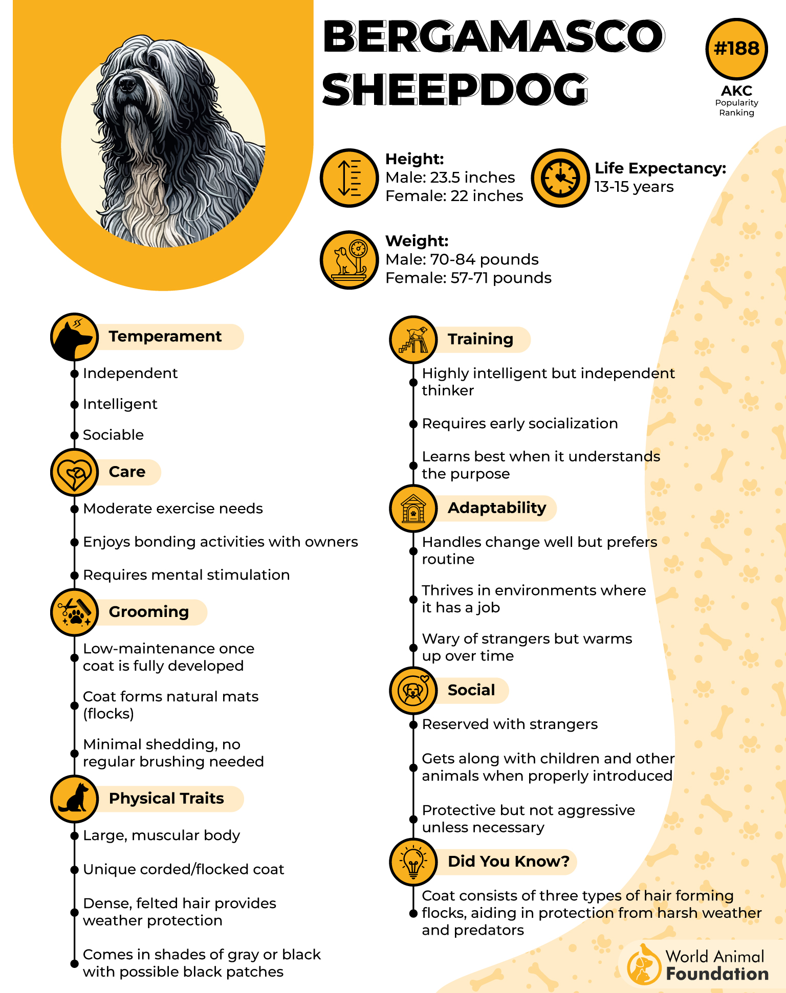 Bergamasco Sheepdog Profile