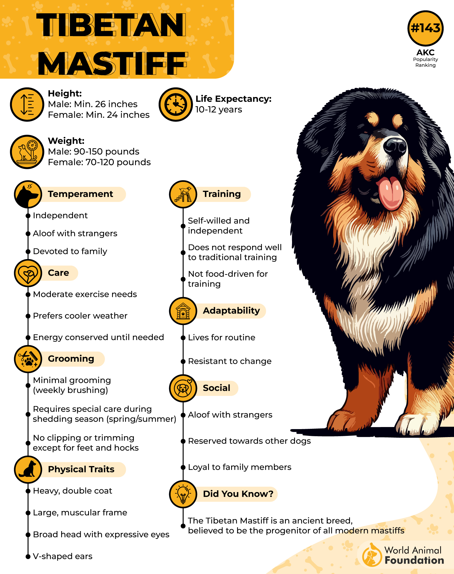 Tibetan Mastiff Profile