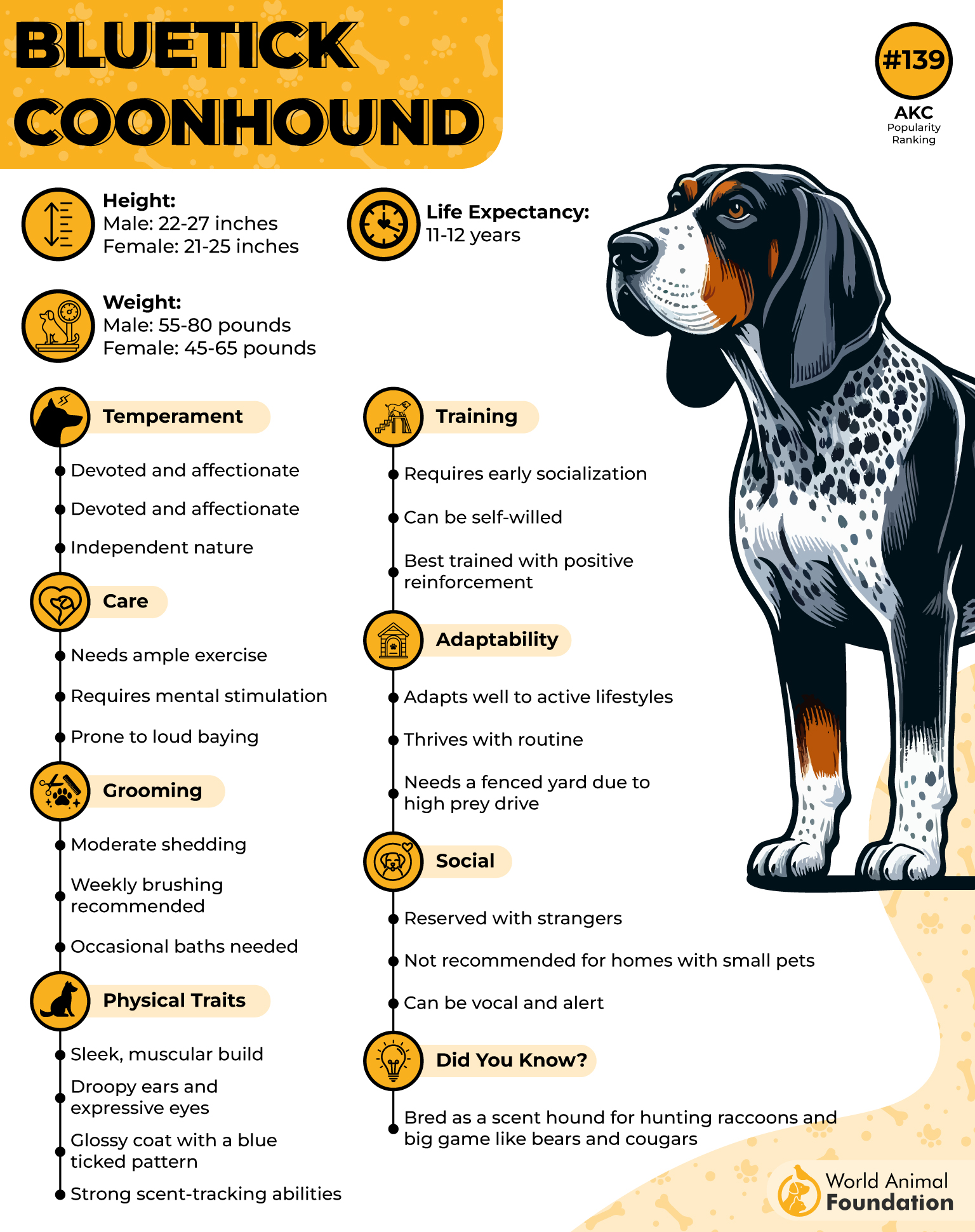 Bluetick Coonhound Profile