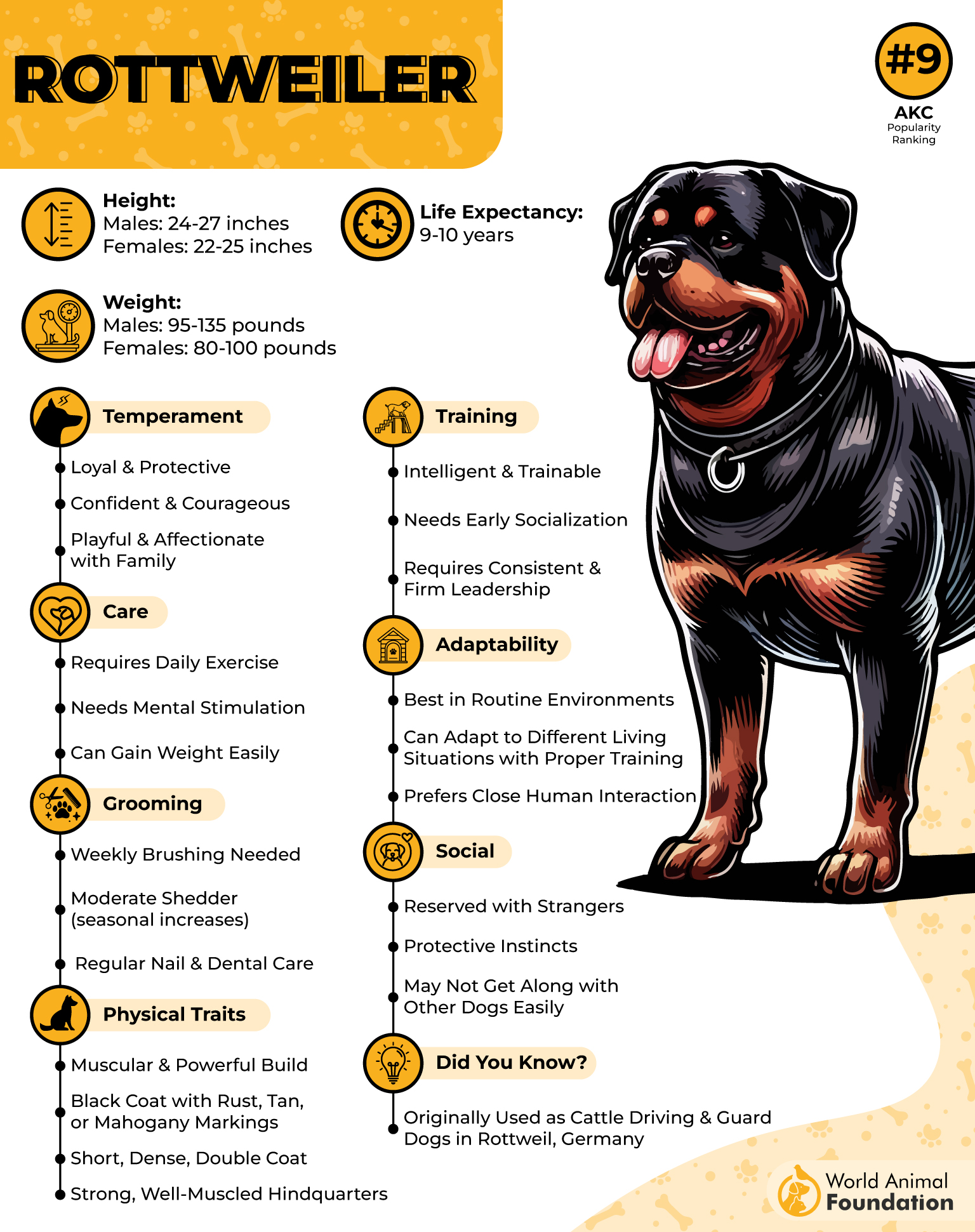 Rottweiler Profile