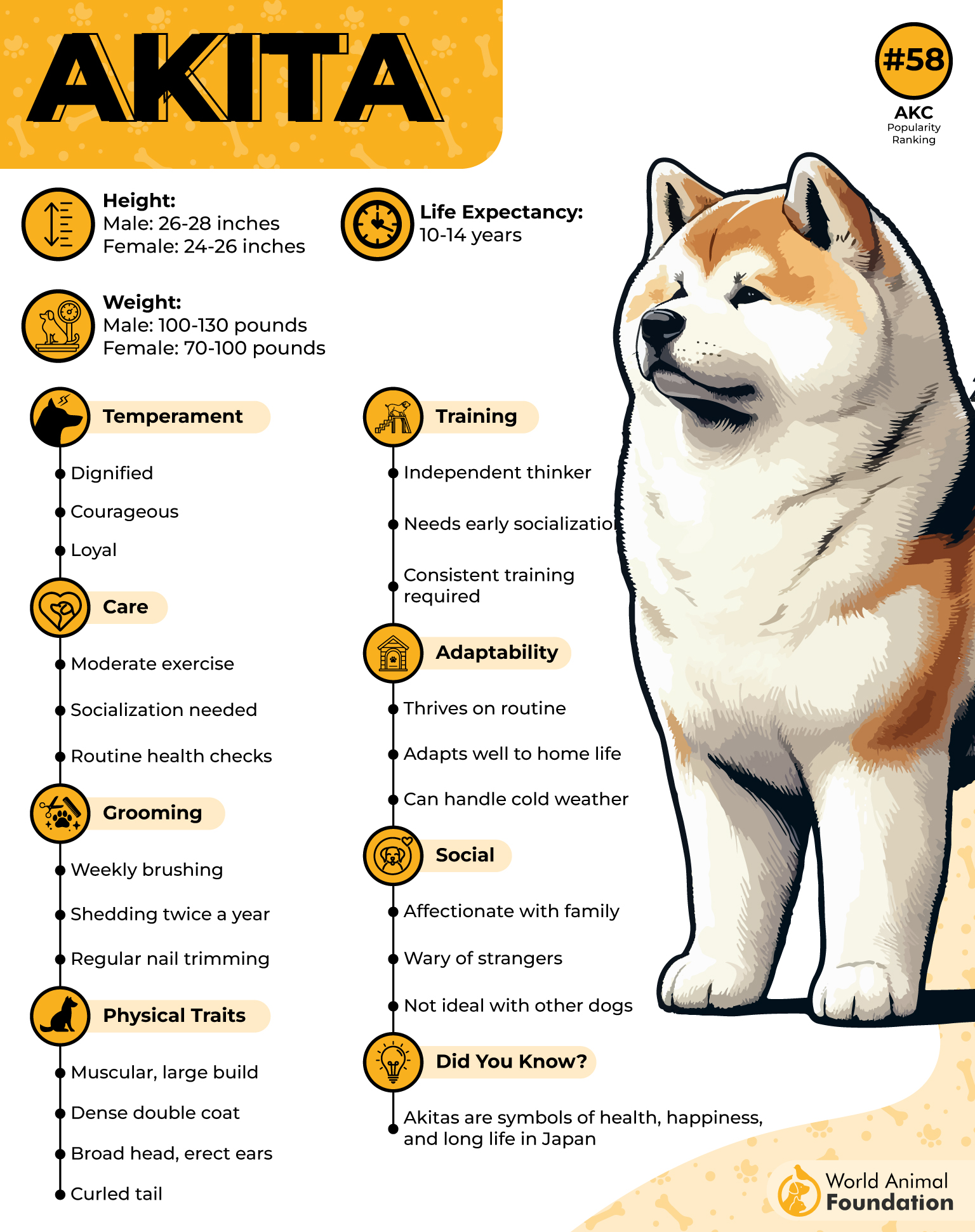 Akita Profile