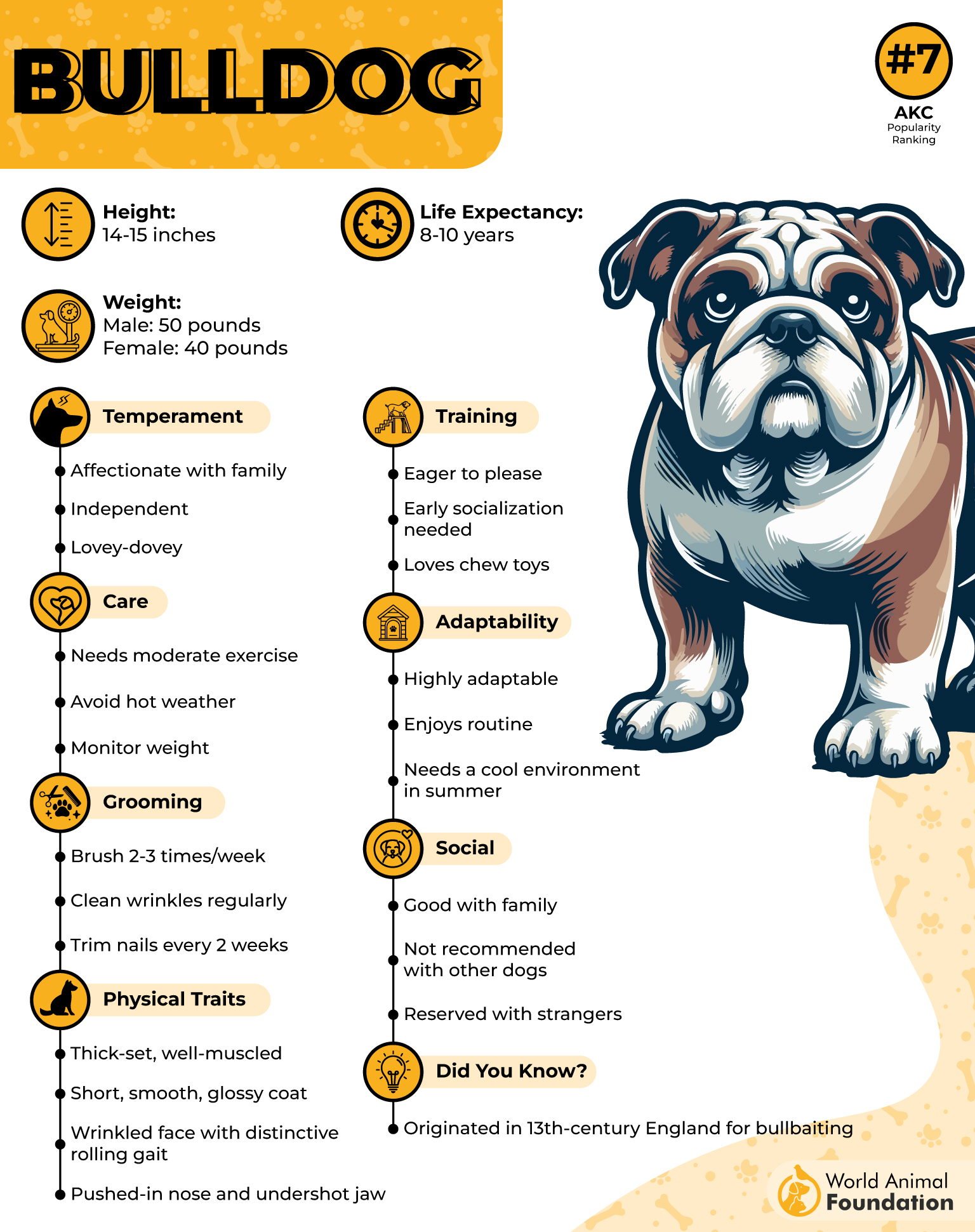 Bulldog Profile