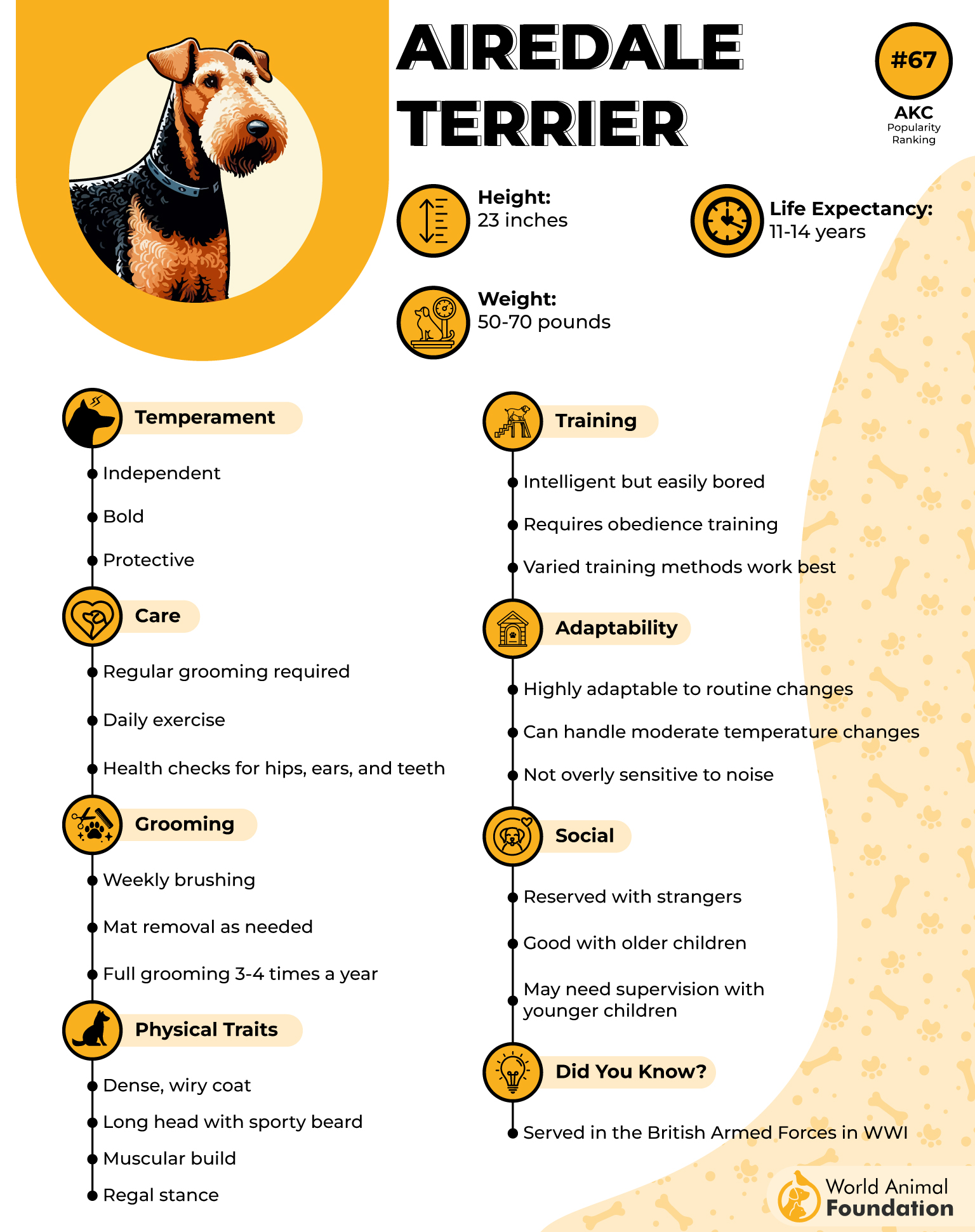 Airedale Terrier Profile