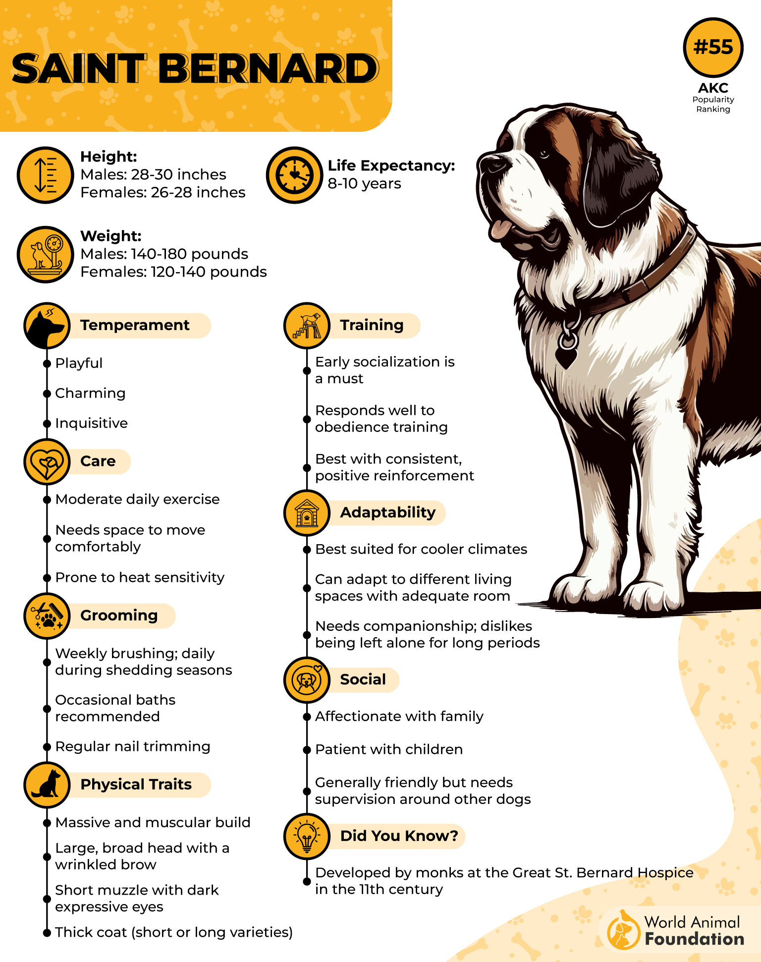 Saint Bernard Profile